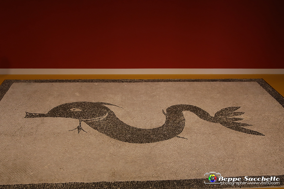 VBS_8965 - Mostra Invito a Pompei.jpg